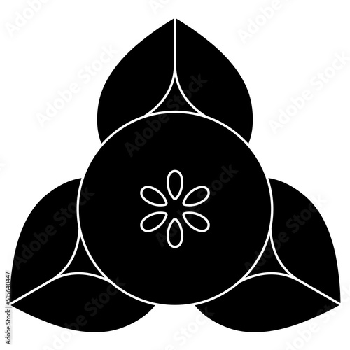 家紋です。向こう橘といいます。