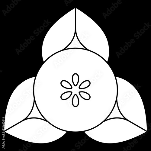 家紋です。向こう橘といいます。