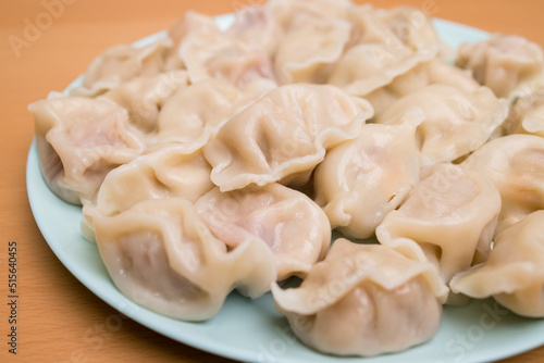 Homemade meat dumpling on plate