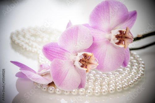 pearl and purple orchid on a white glas 