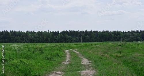 Windy weather during the day, strong wind in the meadow, wild grass swaying from the wind, wildlife, thunderstorm in the field. High quality 4k я