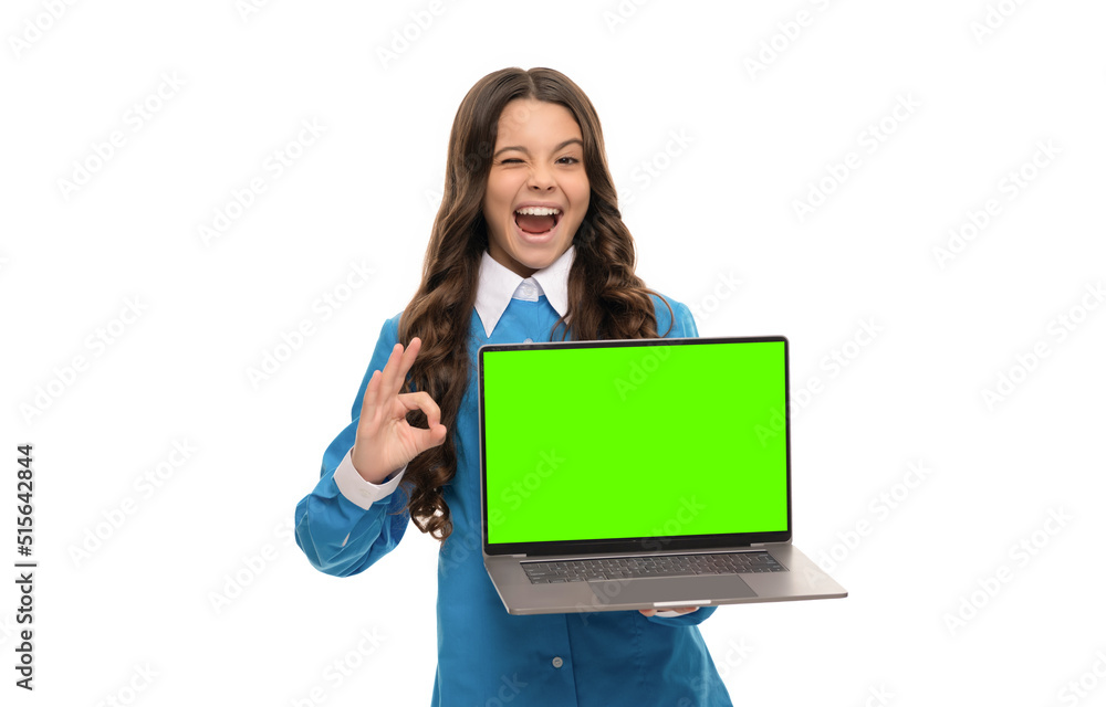 winking child long curly hair showing presentation on laptop screen isolated on white, ok winking child long curly hair showing presentation on laptop screen isolated on white, ok