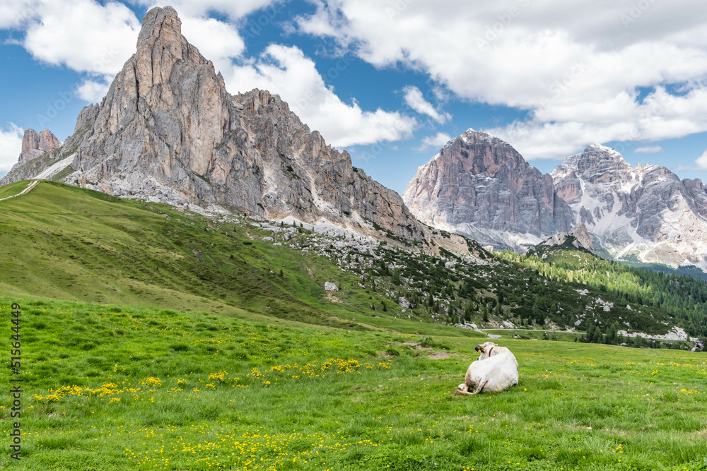 Fototapeta premium Scenic landscape of Giau Pass or Passo di Giau - 2236m. Mountain pass in the province of Belluno in Italy, Europe. Italian alpine landscape. Travel icon of the Dolomites