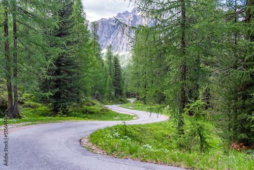 Asphalt road in Alps mountains in Dolomite Alps in Italy. The road passes in the coniferous forests at the foot of limestone and dolomite rocks. The concept of active and car tourism