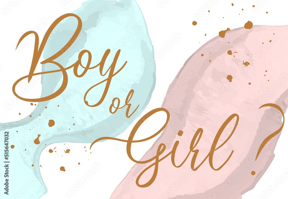 Boy or girl hand drawn modern lettering - Baby shower announcement banner,  card - Gender reveal party - Vector illustration isolated Stock Vector