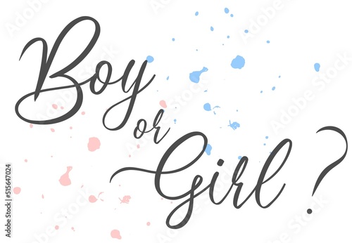 Boy or girl hand drawn modern lettering - Baby shower announcement banner, card - Gender reveal party - Vector illustration isolated