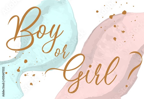 Boy or girl hand drawn modern lettering - Baby shower announcement banner, card - Gender reveal party - Vector illustration isolated