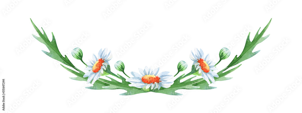 Watercolor daisy bouquet isolated on white background. Watercolor floral design elements perfect for wedding, invitations, greeting cards, print. 
Hand-drawn botanical border with chamomile flowers.