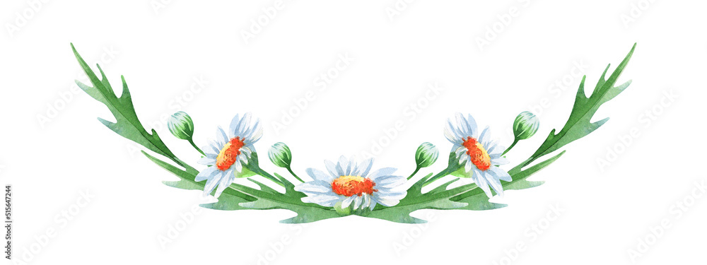 Naklejka premium Watercolor daisy bouquet isolated on white background. Watercolor floral design elements perfect for wedding, invitations, greeting cards, print. Hand-drawn botanical border with chamomile flowers.
