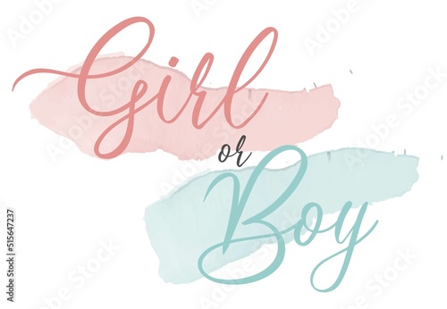Boy or girl hand drawn modern lettering - Baby shower announcement banner, card - Gender reveal party - Vector illustration isolated
