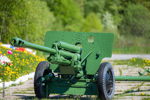 Canvas Print old military cannon