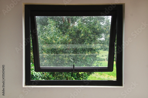 Window on a white wall with the view of greenery on the outside showing the concept of mental health  isolation and depression