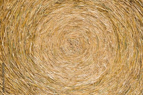 Yellow hay roll close up at the German countryside
