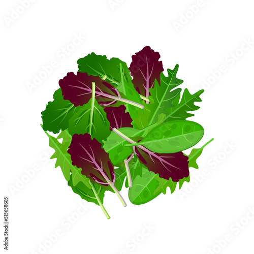 Green salad, mix of various edible leaves. Vector illustration cartoon icon isolated on white background.