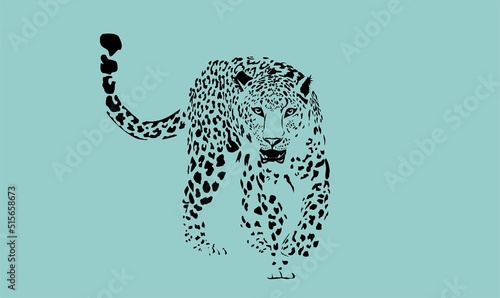 Monochrome single Leopard in stand pose looks strait vector