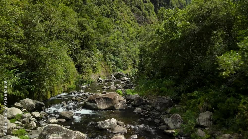 Travelling along a river at the bottom of a ravine in the Reunion Island. There is a river covered with rocks. There are trees on both sides of the river, the cliffs are covered in green vegetation. Travelling along a river at the bottom of a ravine in the Reunion Island. There is a river covered with rocks. There are trees on both sides of the river, the cliffs are covered in green vegetation.