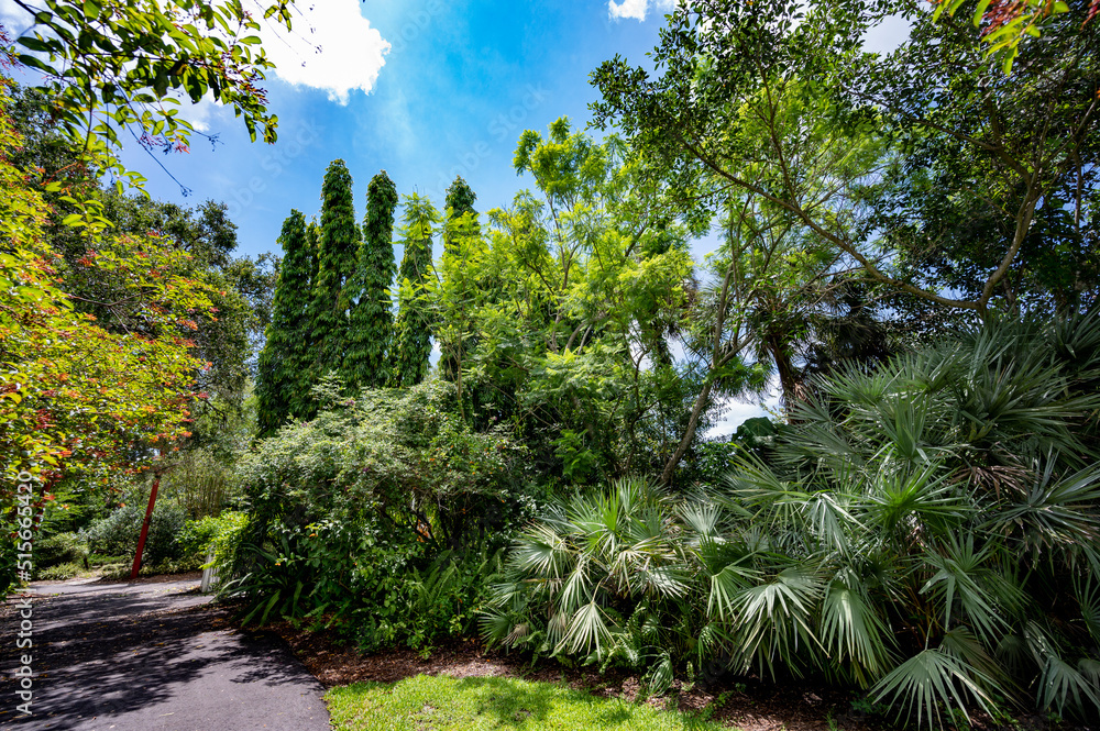 Obraz premium Ship trees