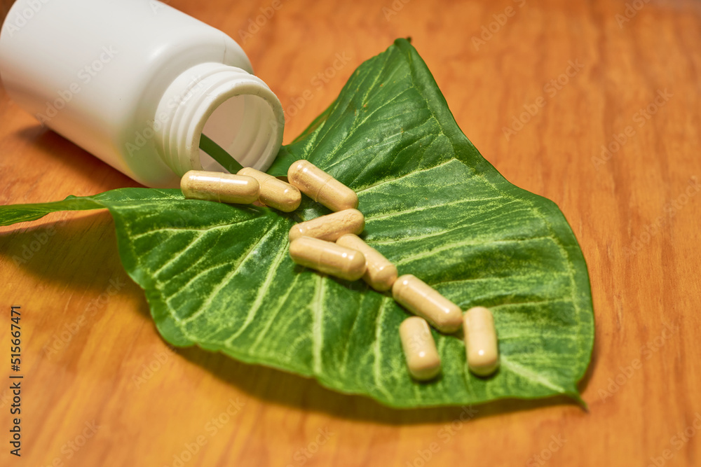 Alternative medicine herbs and homeopathic globules. Alternative medicine herbs and homeopathic globules.