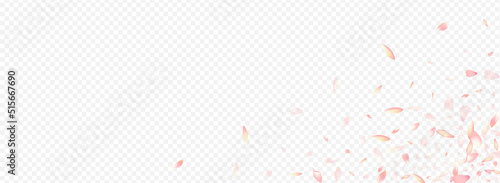 Red Cherry Vector Panoramic Transparent