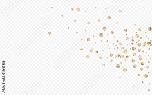 Gold Circle Bridal Transparent Background. Modern