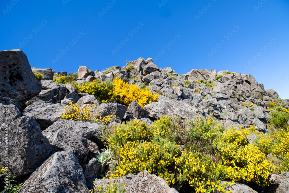 Highlights of east Madeira, an insel of Portugal Highlights of east Madeira, an insel of Portugal
