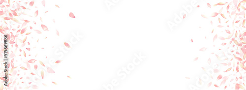 White Rose Petal Vector Panoramic Background.