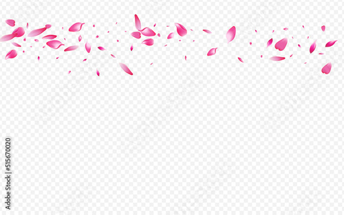 Pink Lotus Vector Transparent Background. Peach