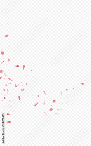 Red Rose Fall Vector Transparent Background.