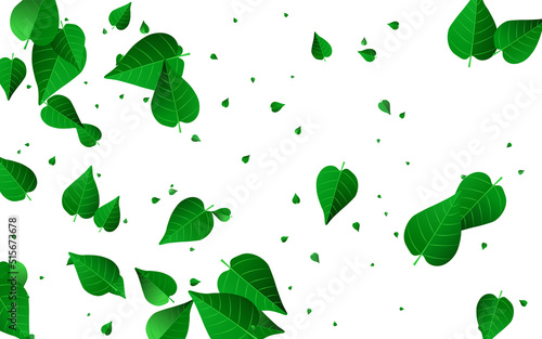 Grassy Leaves Wind Vector White Background