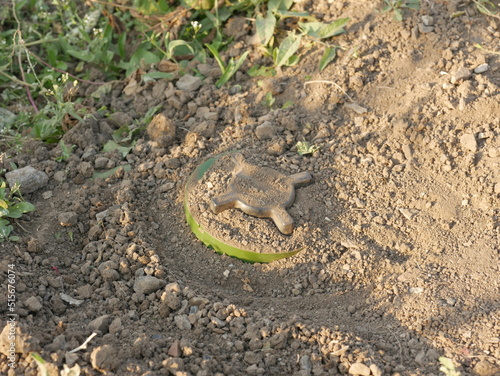Mines. Anti-personnel mine. Anti-personnel mine in the ground. dig a mine. mining. Demining. Minefield