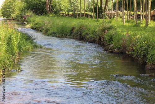 cascade, rivière et bois