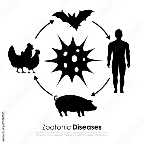 Zoonotic disease vector icon