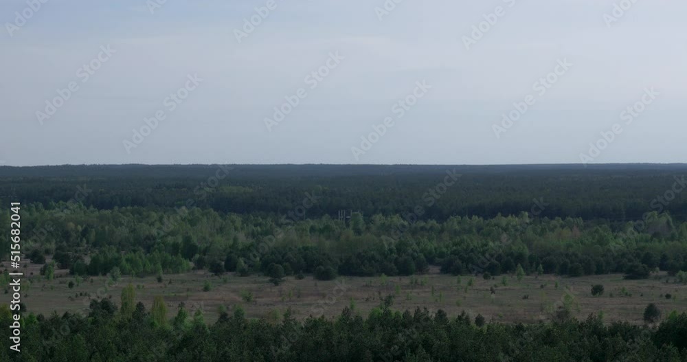 Endless forest from above summer Endless forest from above summer