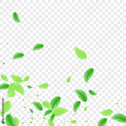 Green Plant Background Transparent Vector. Leaves Organic Texture. Environmental Design. Light Green Mint Illustration. Greenery Drink.