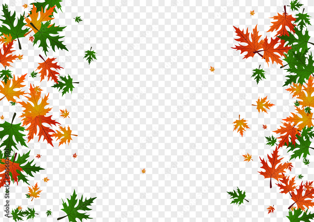 Yellow Leaves Background Transparent Vector. Plant Flying Frame. Brown Design. Seasonal Illustration. Red Foliage Beautiful. Yellow Leaves Background Transparent Vector. Plant Flying Frame. Brown Design. Seasonal Illustration. Red Foliage Beautiful.