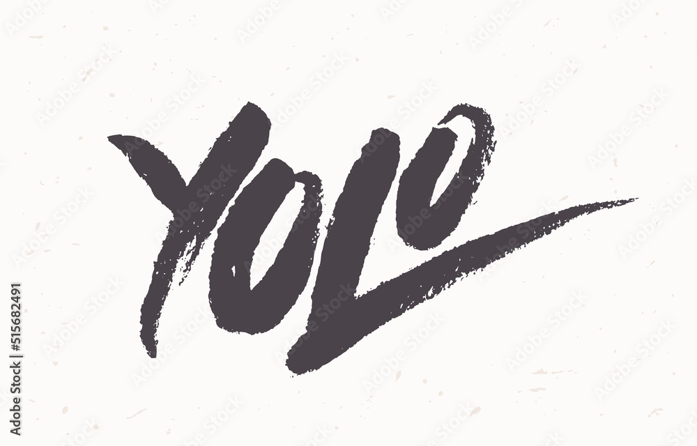 Yolo. You only live once. Vector handwritten lettering. Stock