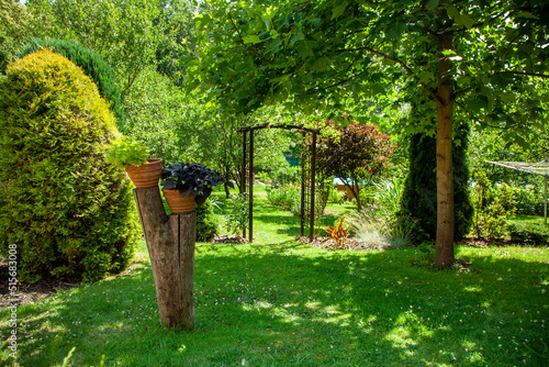 Beatiful backyard garden with flowers in full bloom in sunny day in summer.
