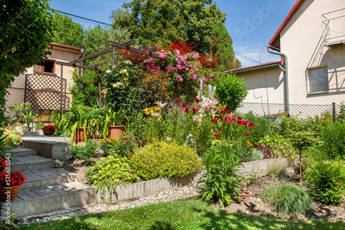 Beatiful backyard garden with flowers in full bloom in sunny day in summer.
