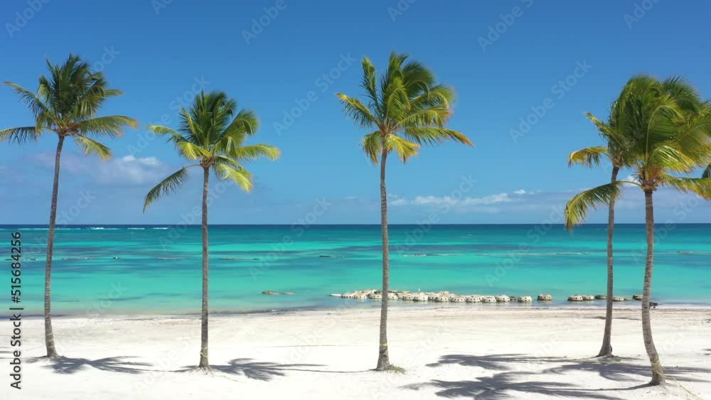 Juanillo beach with palm trees, white sand and turquoise caribbean sea water. Cap Cana is a tourist area in Dominican Republic. Aerial view Juanillo beach with palm trees, white sand and turquoise caribbean sea water. Cap Cana is a tourist area in Dominican Republic. Aerial view