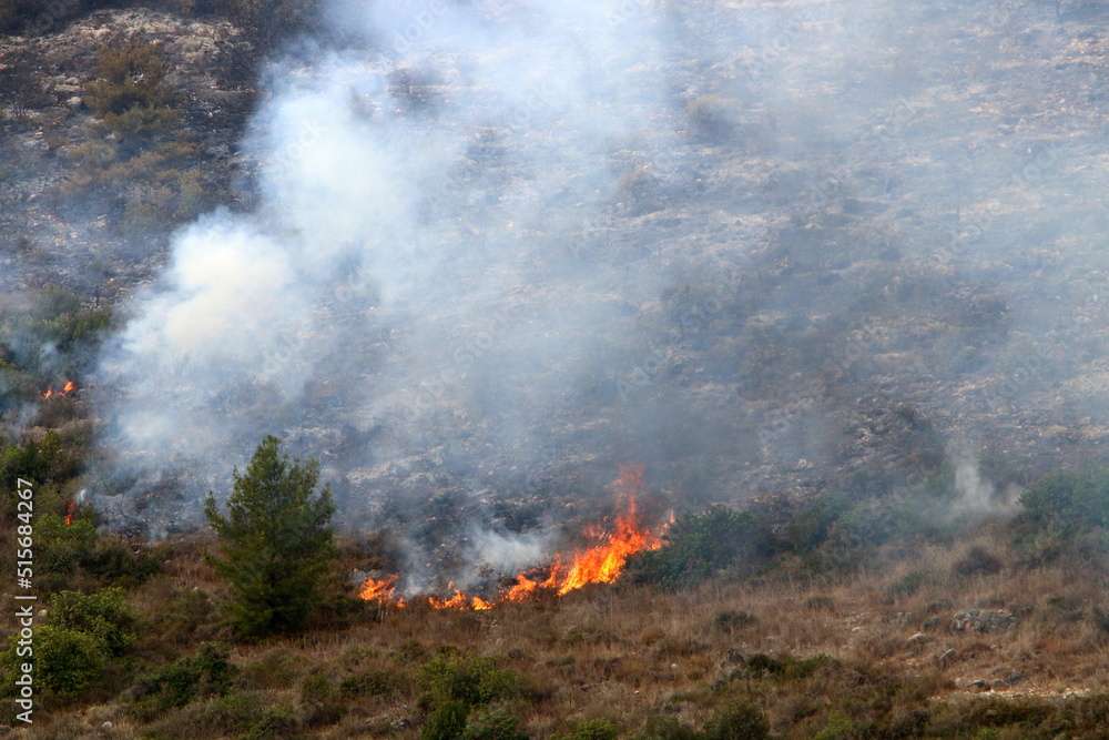 Fire in the mountains on the border of Israel and Lebanon Fire in the mountains on the border of Israel and Lebanon