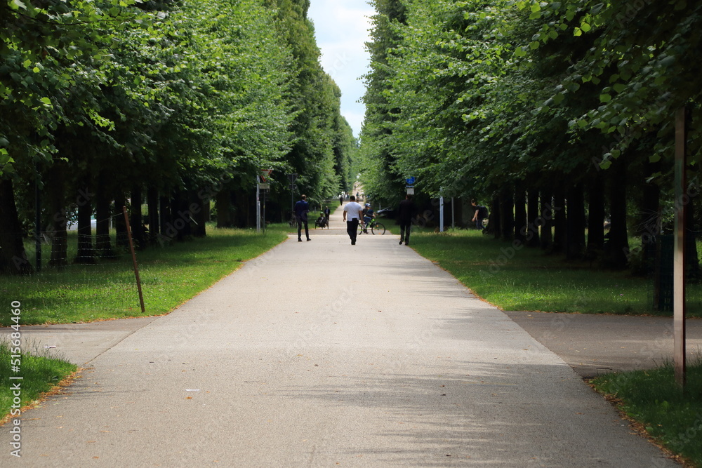 Fototapeta premium Allee in der Stadt Ludwigsburg führt vom blühenden Barock weg