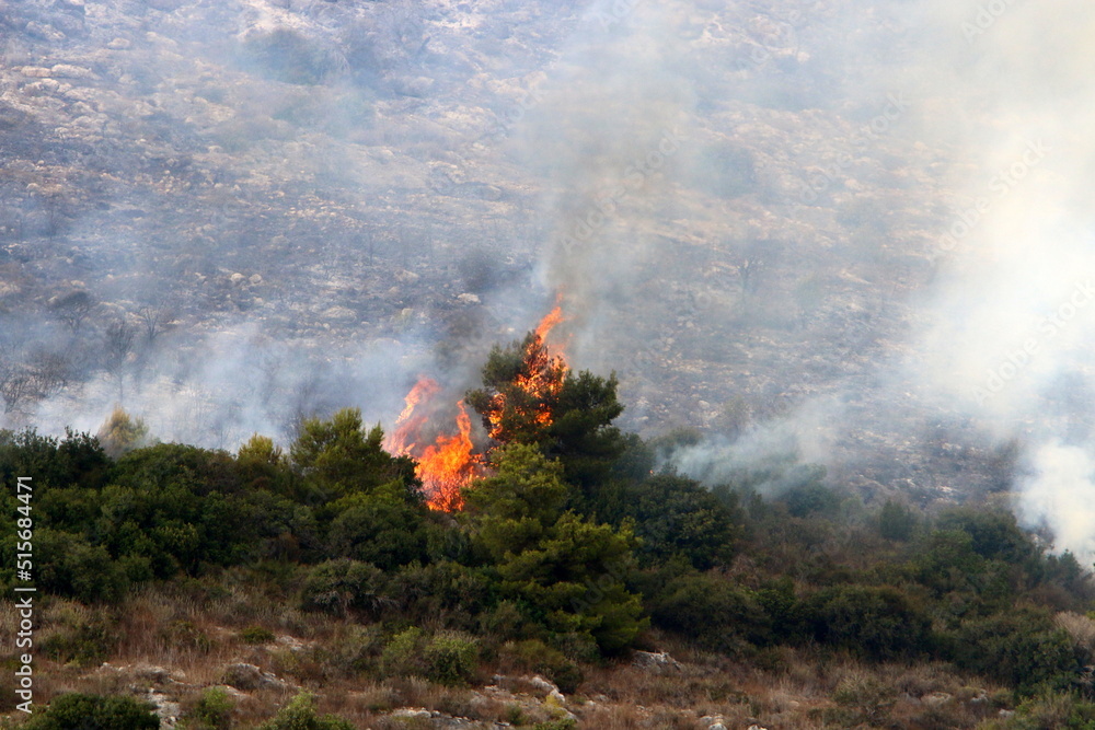 Fire in the mountains on the border of Israel and Lebanon Fire in the mountains on the border of Israel and Lebanon