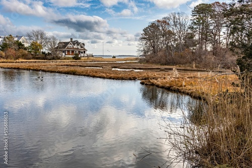 Landscape with water and dry trees in Hyannis, Cape Cod, Massachusetts, United States photo