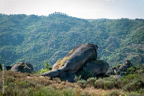 Pedra enorme com forma de uma baleia na natureza com uma montanha ao fundo coberta por floresta photo