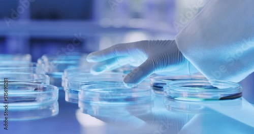 Scientist doing research in a modern lab. Closeup of a technician analyzing samples in Petri dishes on a glass table. A chemist preparing organisms for testing or DNA modification in a laboratory photo