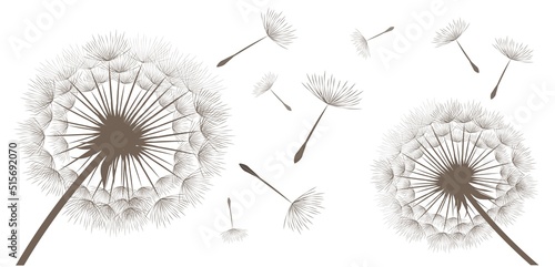 Vector illustration of dandelions on white background.
Silhouette with flying dandelion buds. EPS10 for wall decor,  wallpaper,  postcards, posters etc. Wall art for decor. 