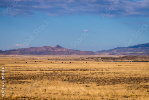 rural landscape of fields and grass in the Prescott Arizona area