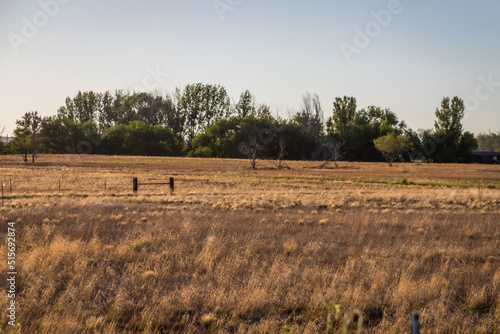 rural landscape of fields and grass in the Prescott Arizona area © Sean