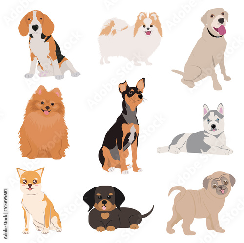 Dogs pets character. Labrador dog, golden retriever and husky. Cartoon vector isolated illustration set © Victoria