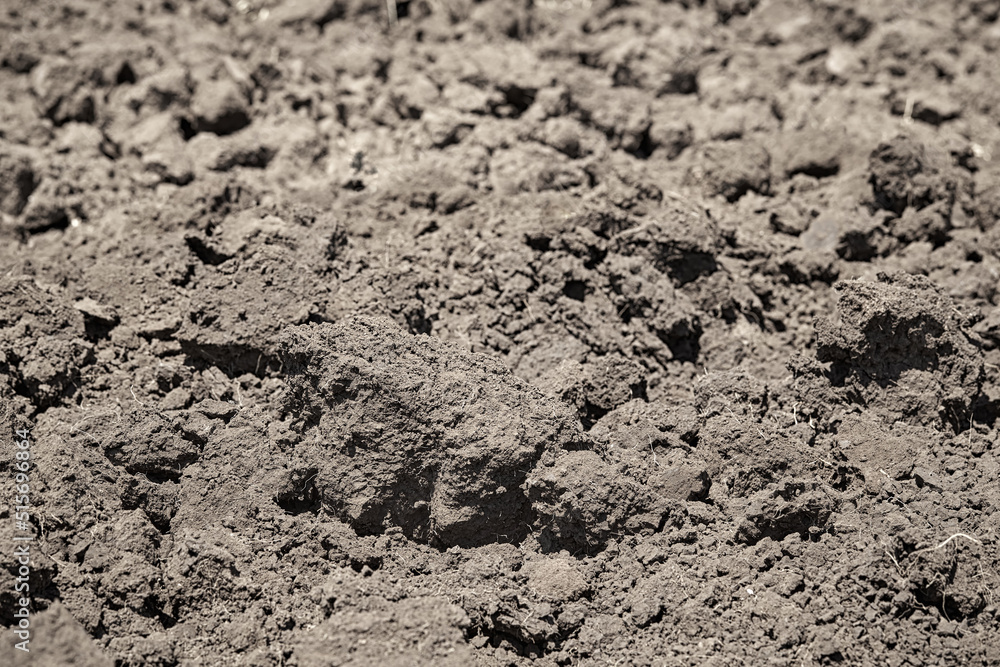 Closeup of plowed land Closeup of plowed land
